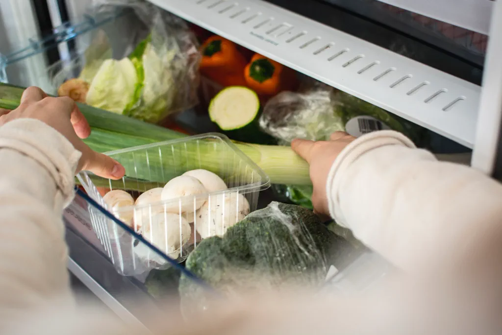 Fridge Door Seal Failure: Why Cooling Drops and Power Use Rises